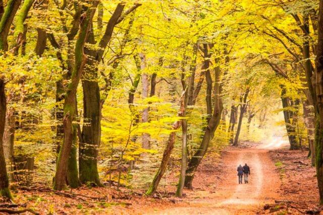B&B De Sfeerhoeve Beilen Zewnętrze zdjęcie