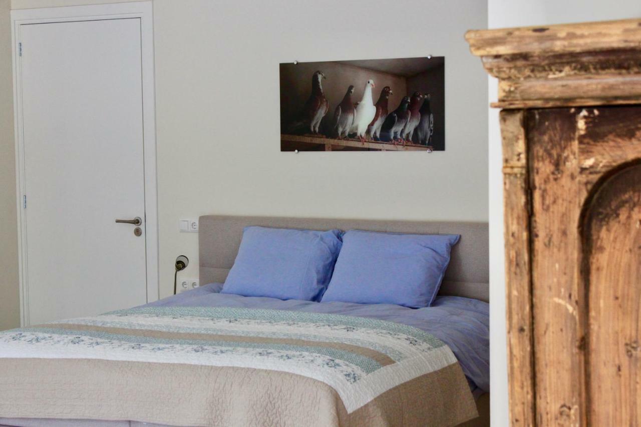 B&B De Sfeerhoeve Beilen Zewnętrze zdjęcie